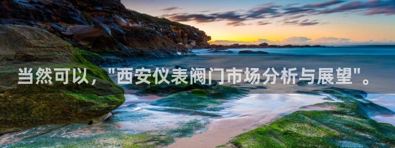 j9九游会app下载