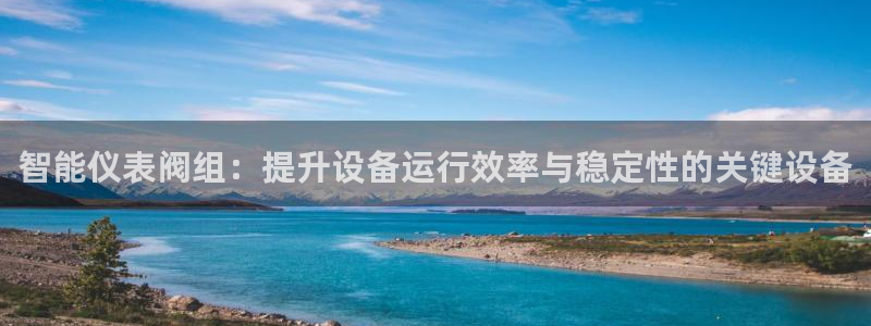 九游会进不去