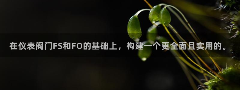 ag九游会网址大全