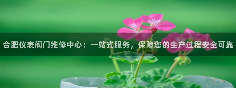 九游会ag亚洲集团官方网站