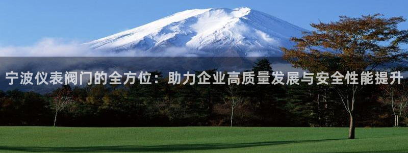 九游会新站