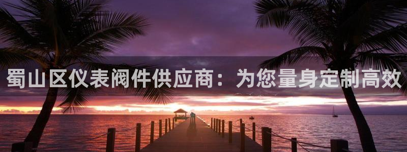 九游会a g