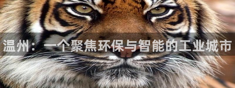 九游会代理