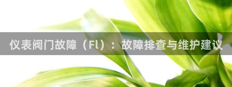 九游会网址平台怎么样
