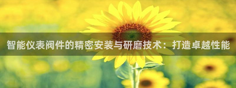 九游会不出款