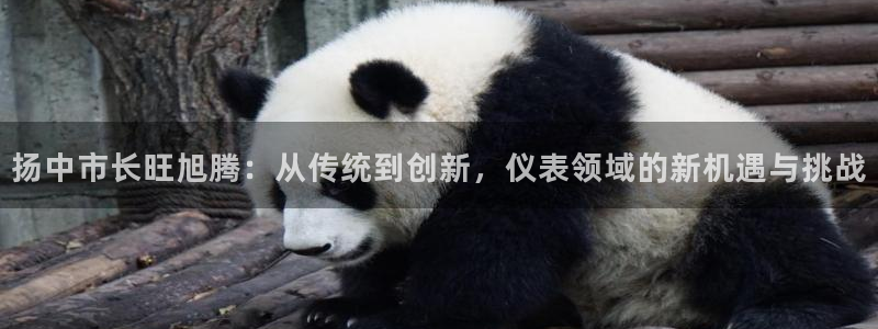 九游会论坛最大