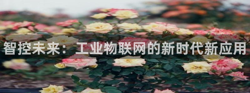 九游会进不去