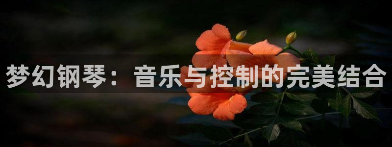 网赌九游会