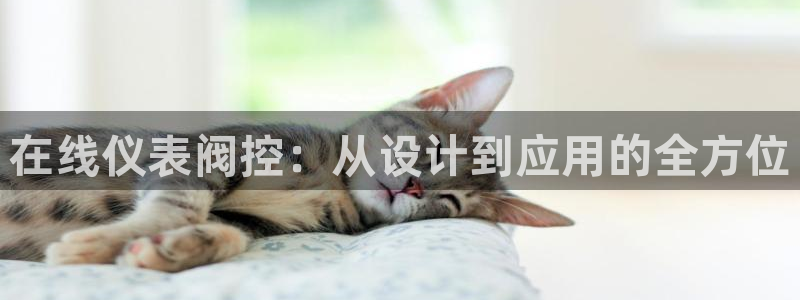 九游会黑马