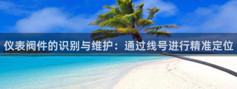 ju九游会