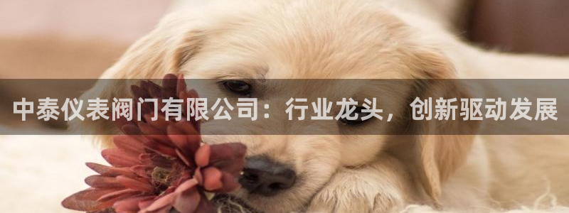 九游会AGapp下载
