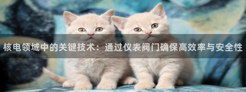 九游会体育电竞