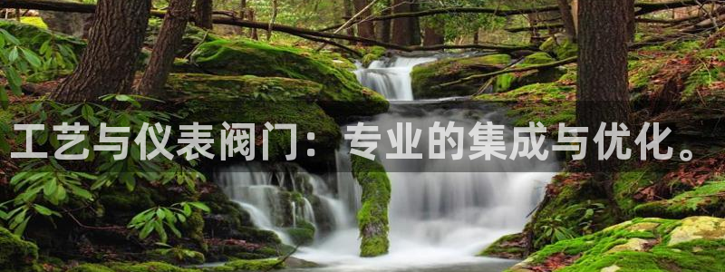 九游会最新下载安装