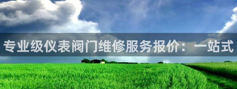 哪个才是九游会