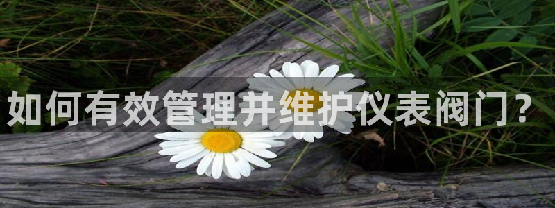 九游会亚洲官网