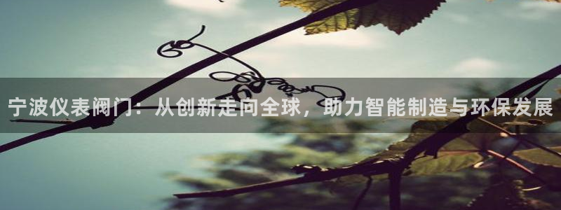 九游会公司