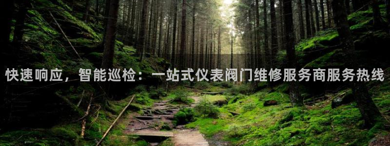 九游会ag入口