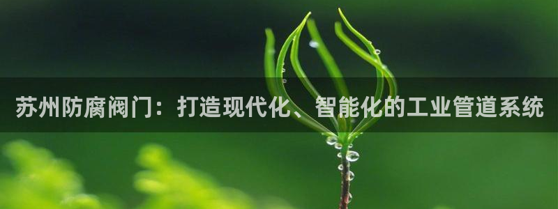 九游会正规
