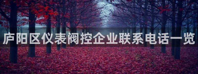 九游会网址导航