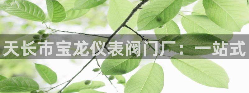 亚游停运转九游会