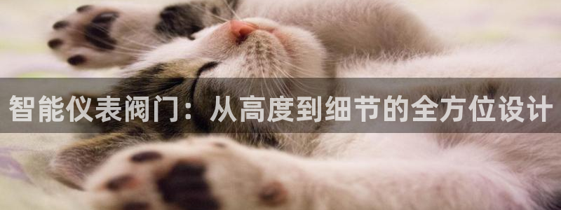 九游会aj亚州