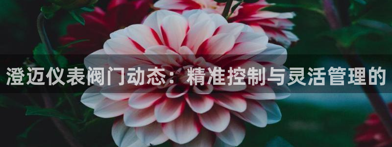 九游会ag入口