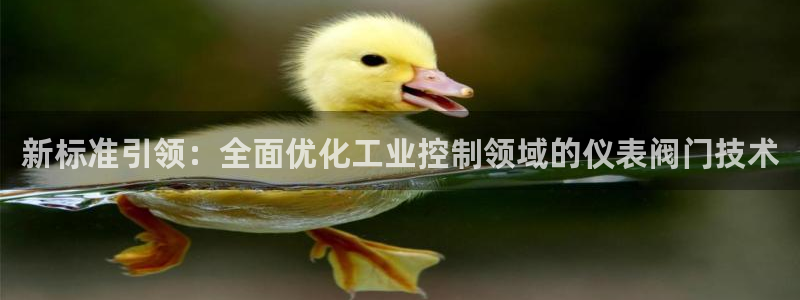 九游会不出款