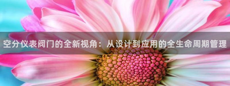 九游会现场