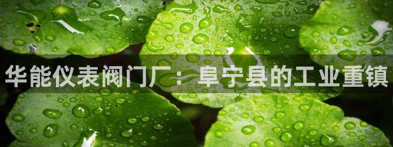 九游会国际直营