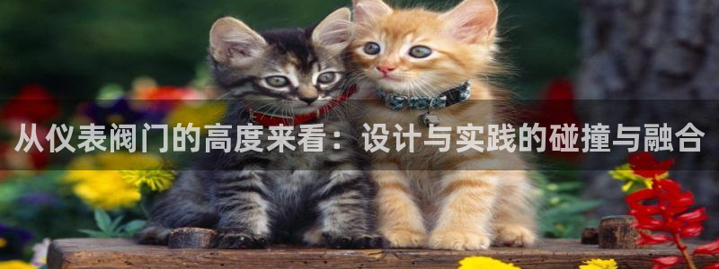 九游会手机网址