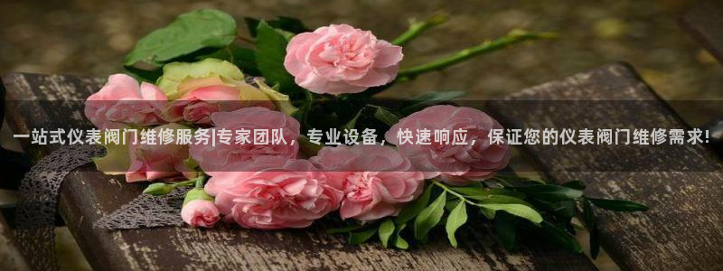 九游会官方入口