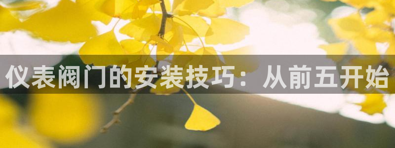 网赌九游会