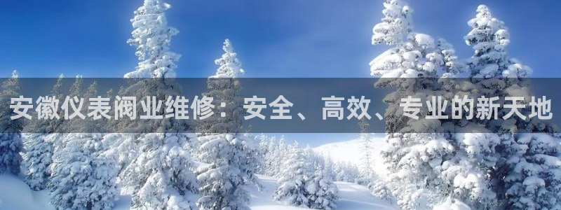 九游会国际直营