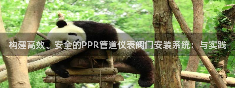 九游会网